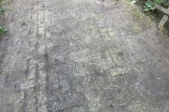 Project Hovenier Helpt in Oude Pekela