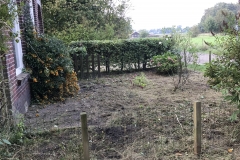 Project Hovenier Helpt in Oude Pekela