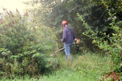 Project Hovenier Helpt in Oude Pekela
