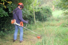 Project Hovenier Helpt in Oude Pekela