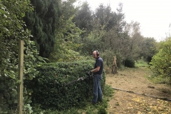 Project Hovenier Helpt in Oude Pekela