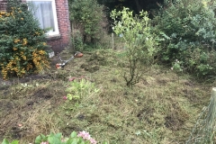 Project Hovenier Helpt in Oude Pekela