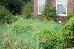 Project Hovenier Helpt in Oude Pekela