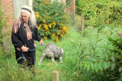 Project Hovenier Helpt in Oude Pekela