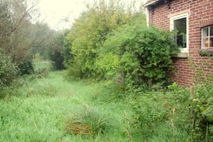 Project Hovenier Helpt in Oude Pekela