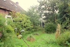 Project Hovenier Helpt in Oude Pekela